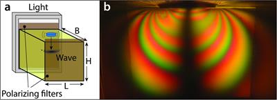 Shear Wave Measurements of a Gelatin’s Young’s Modulus